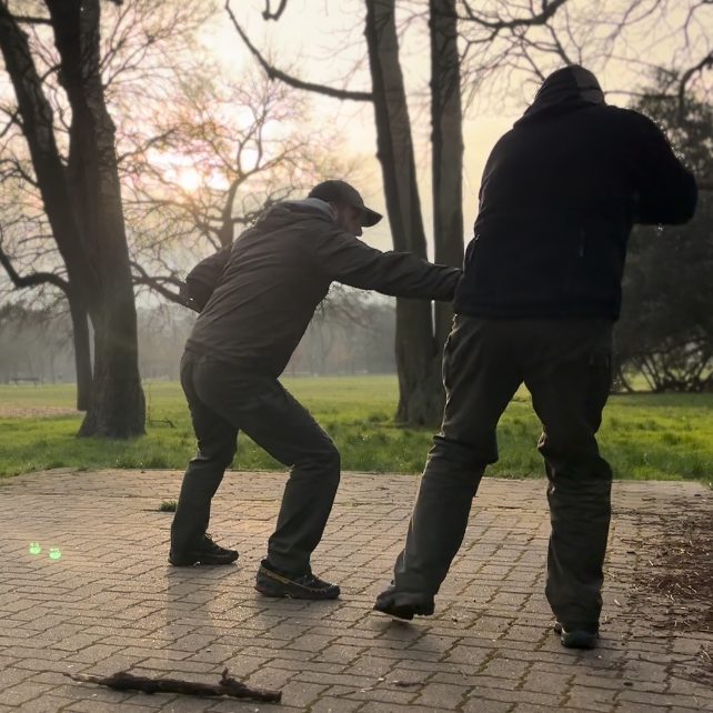 Plein air, combat Systema, parcs parisiens